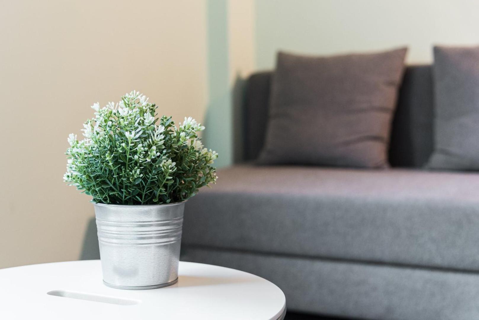 Appartement Guestready - Wellspring Bloom